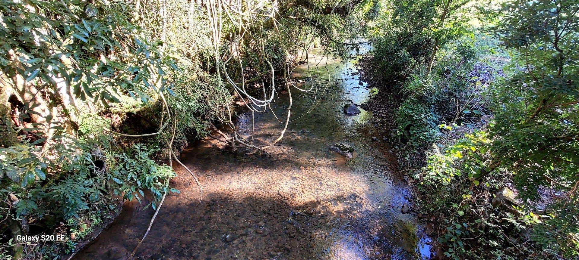 Área de terra rural — foto 6