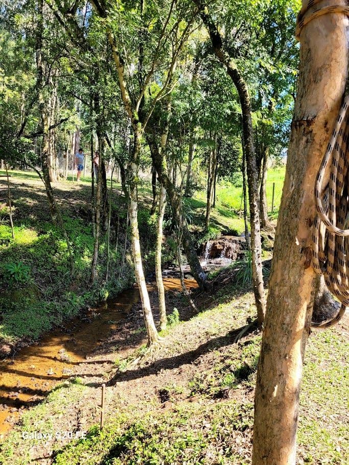 Chacara Bairro Novo Atlantico — foto 11