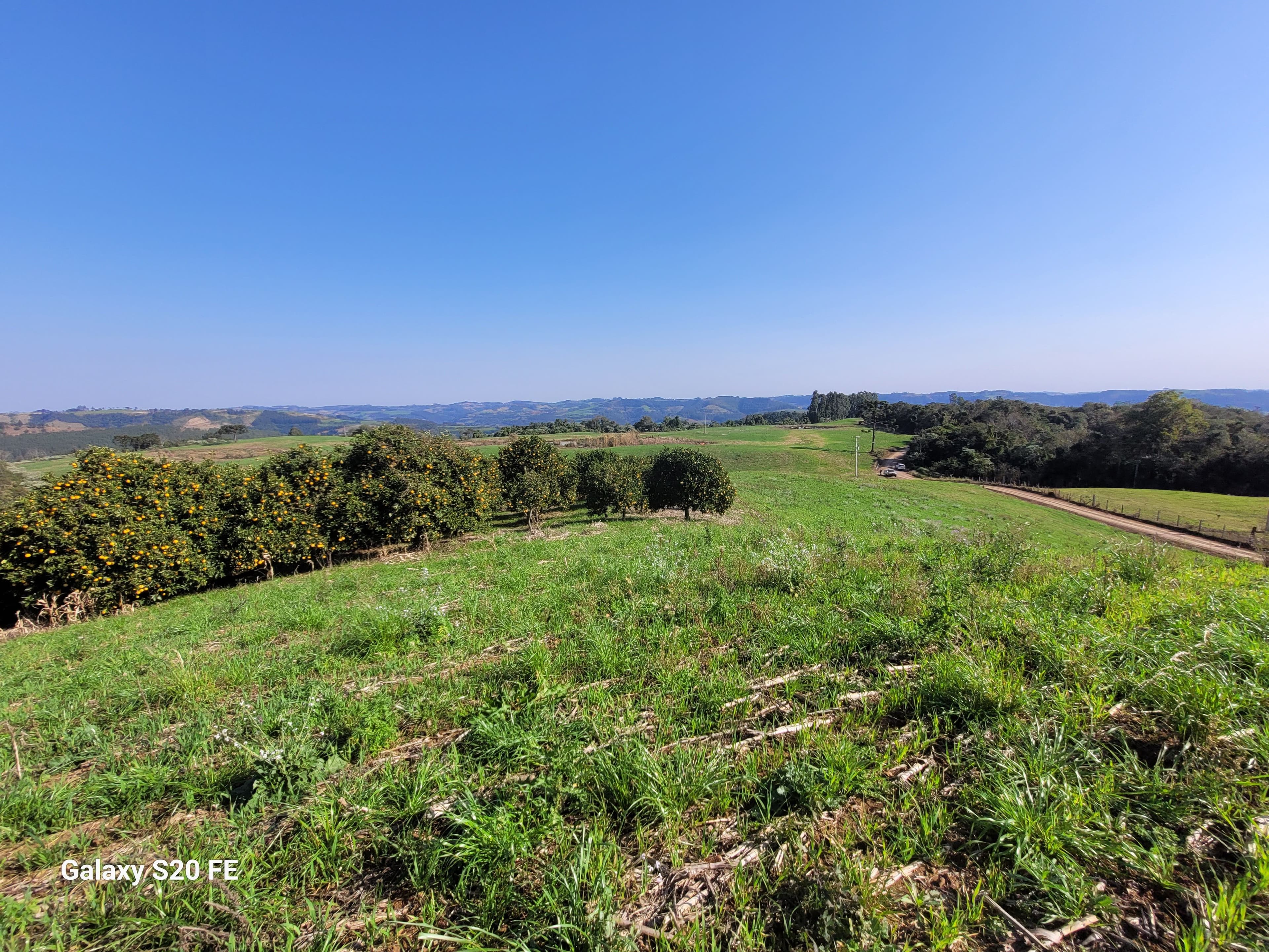 Área de terra rural-Comunidade Parobé-Itatiba do Sul — foto 7