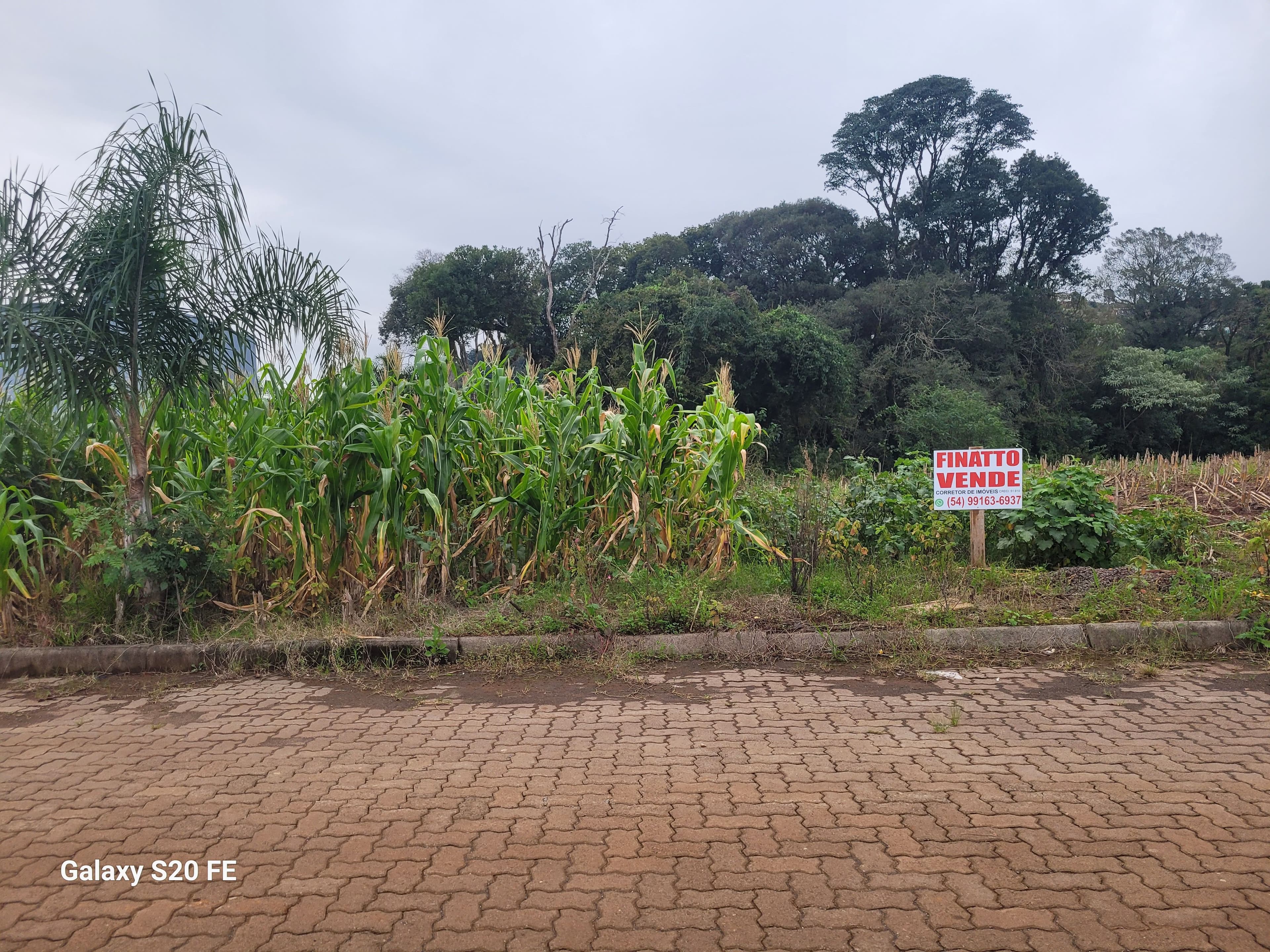 Terreno em Barão de Cotegipe/RS — foto 2