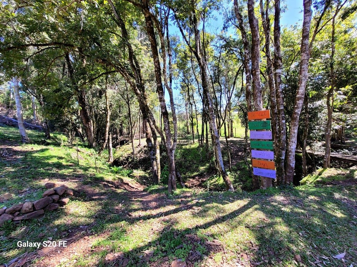 Chacara Bairro Novo Atlantico — foto 5
