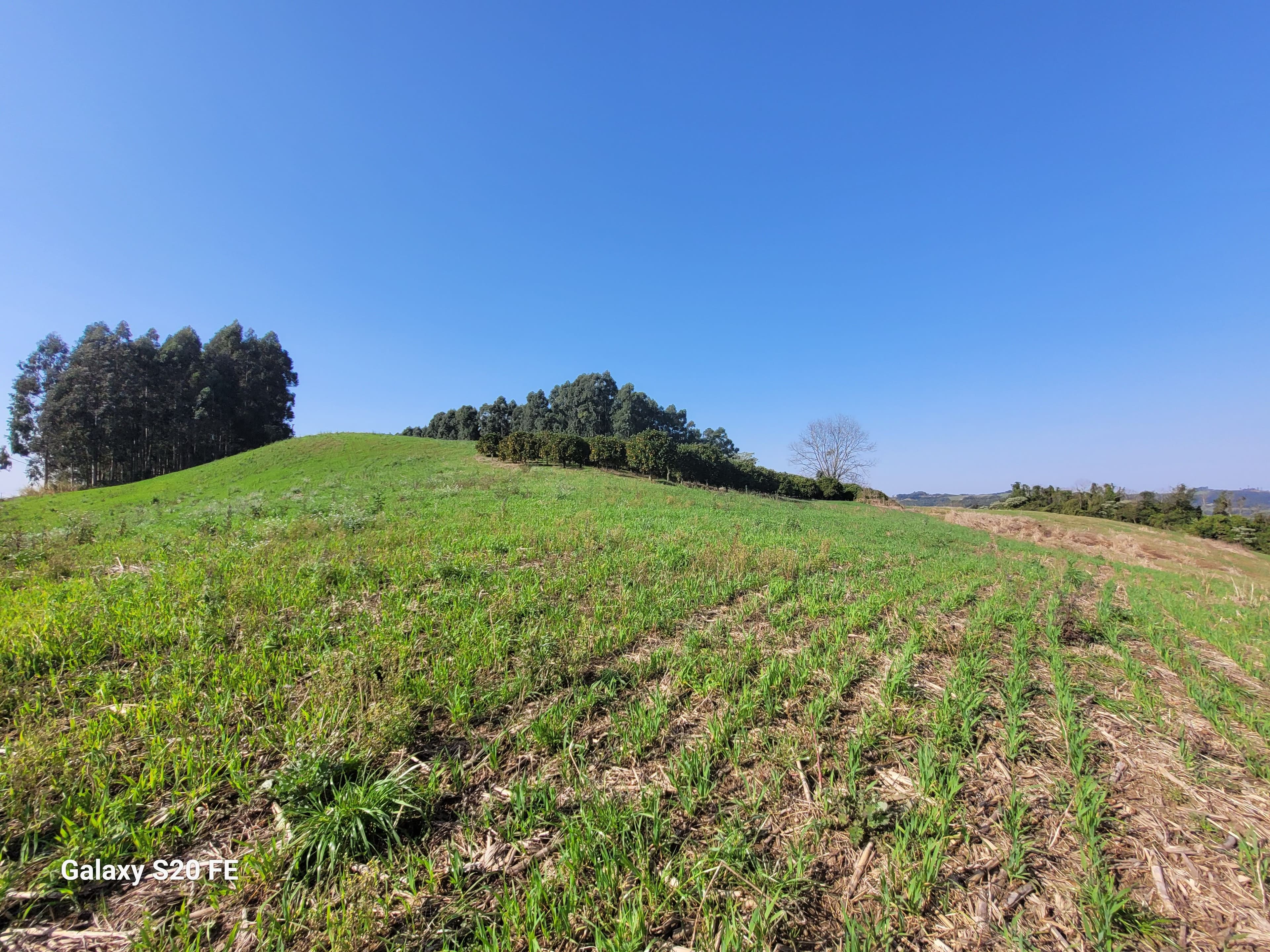 Área de terra rural-Comunidade Parobé-Itatiba do Sul — foto 3