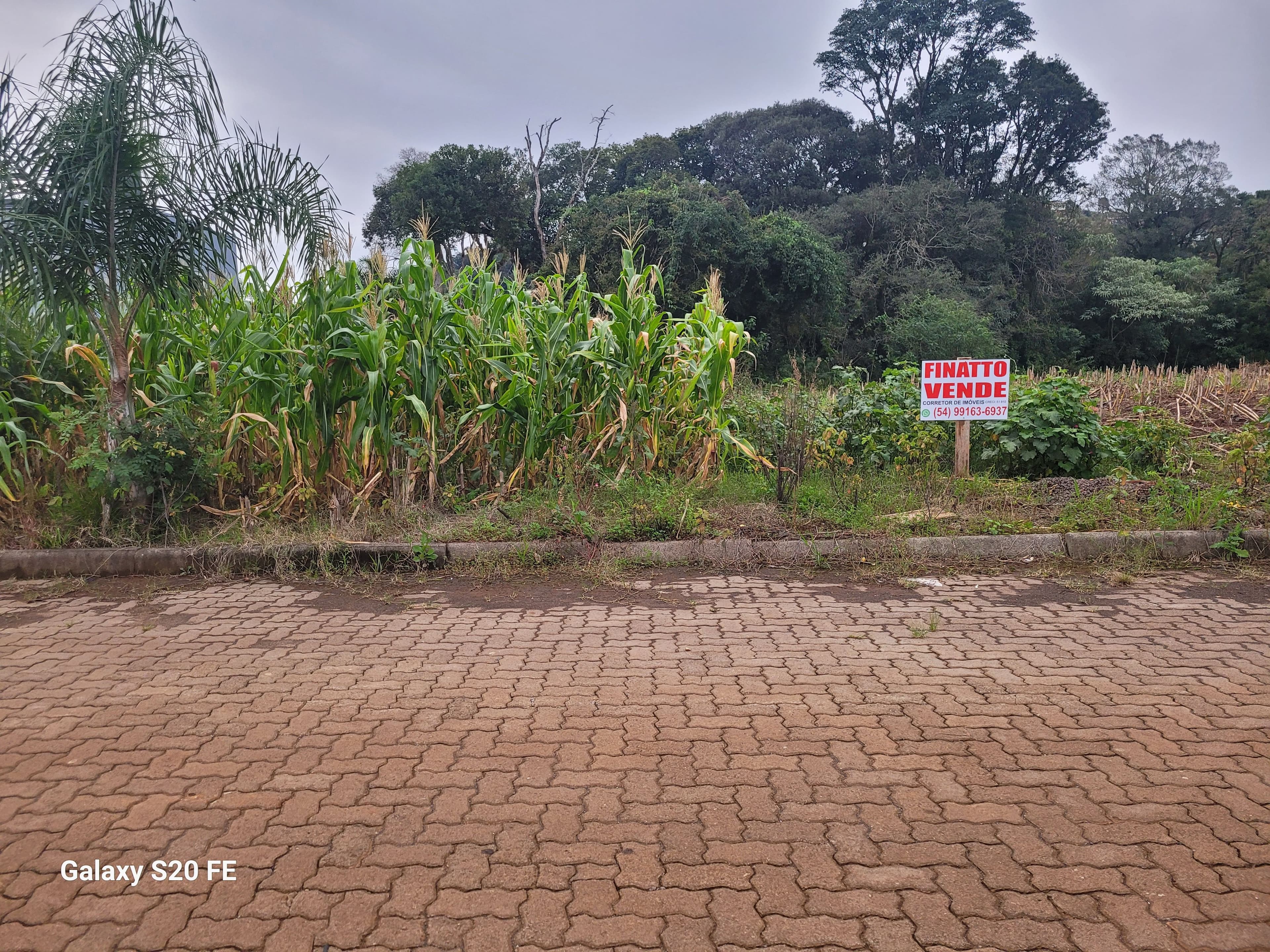 Terreno em Barão de Cotegipe/RS — foto 1