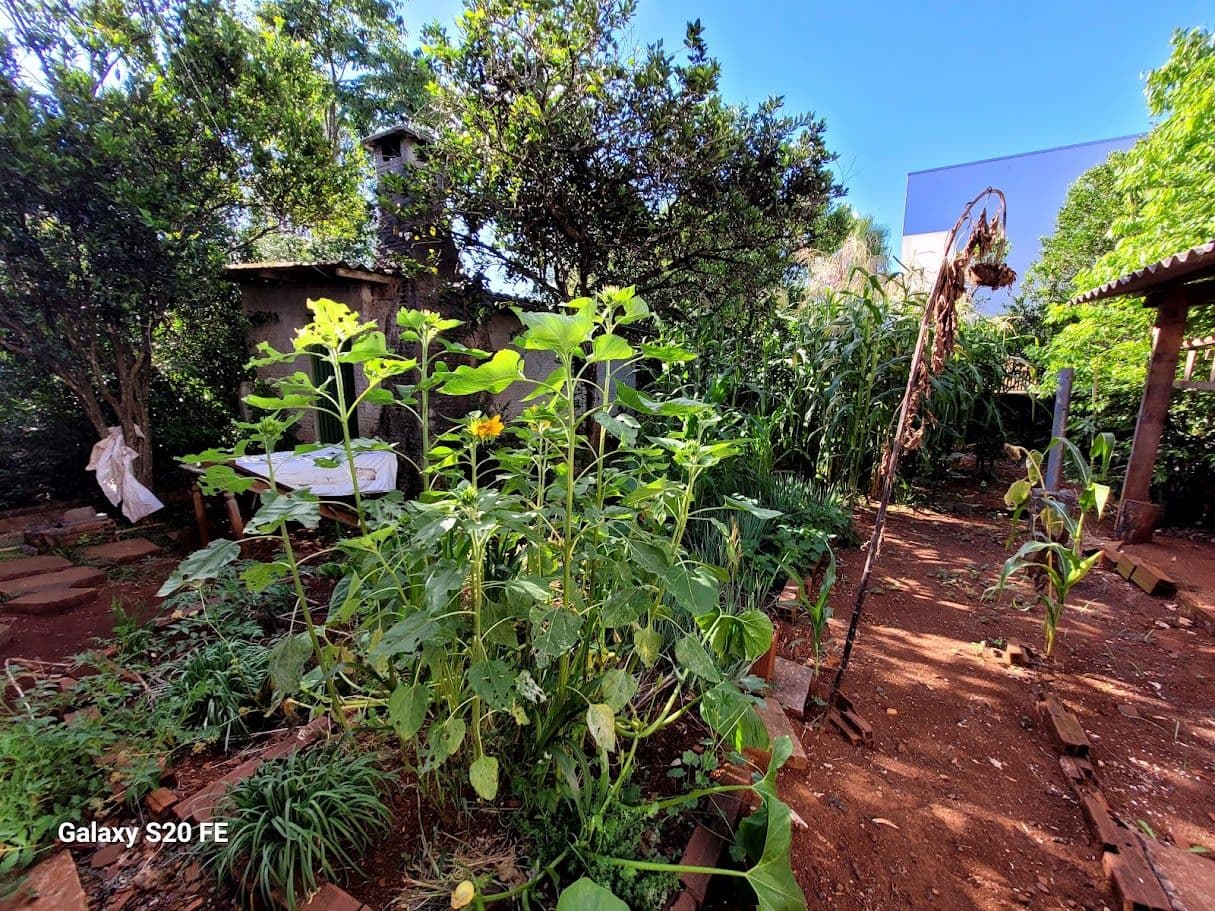Casa no Bairro Linho — foto 6