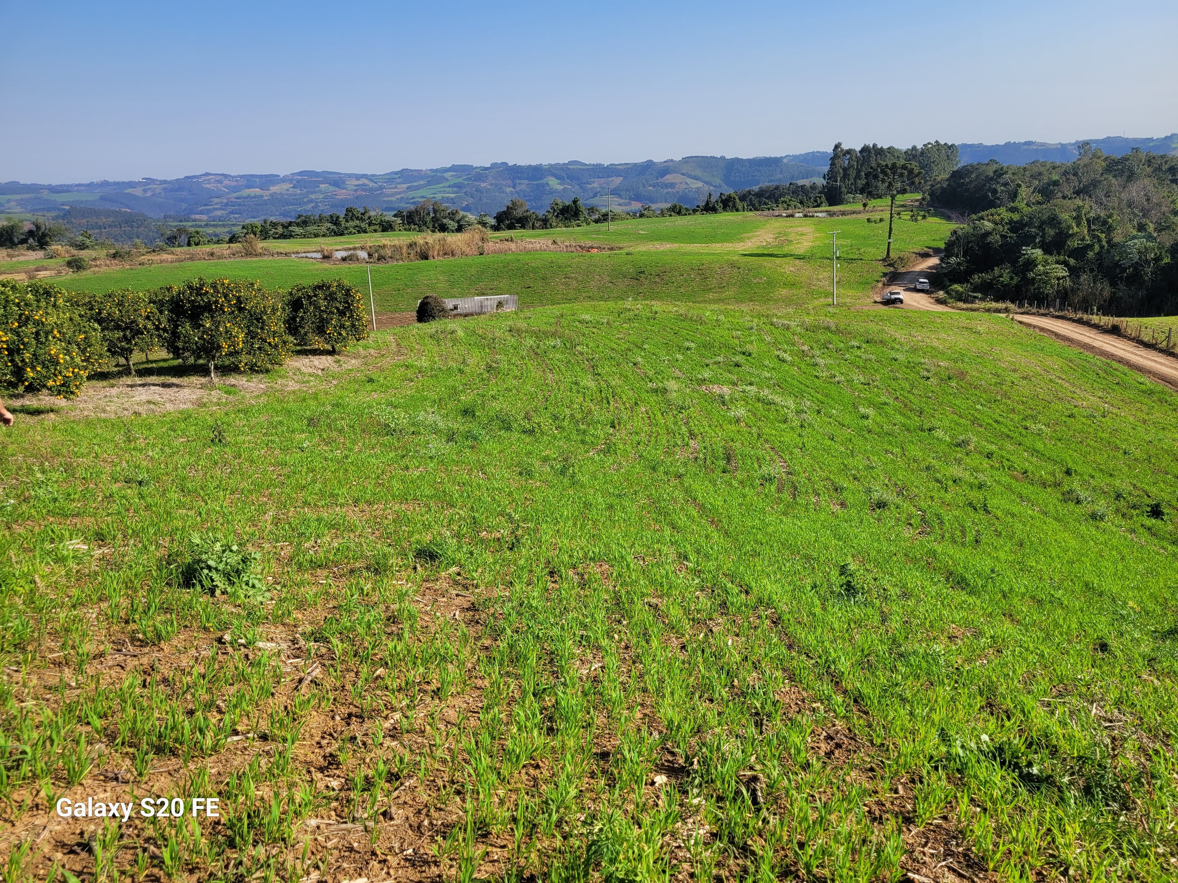 Área de terra rural-Comunidade Parobé-Itatiba do Sul — foto 6