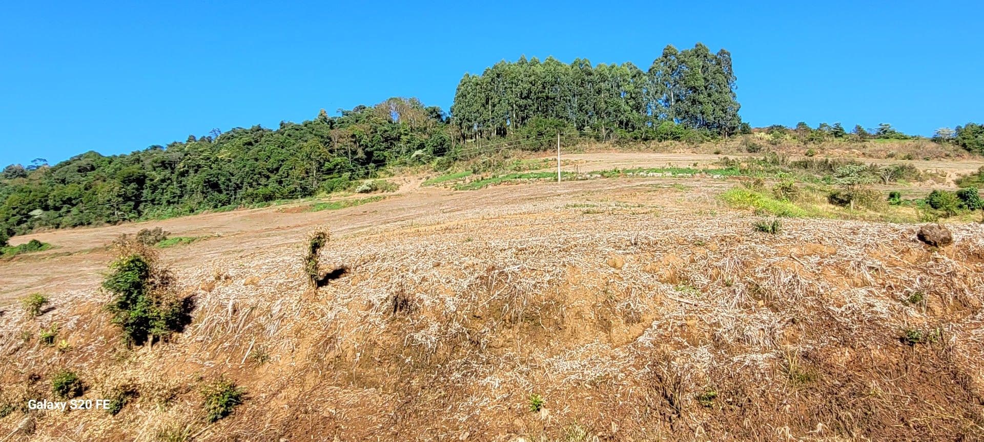 Área de terra rural — foto 3