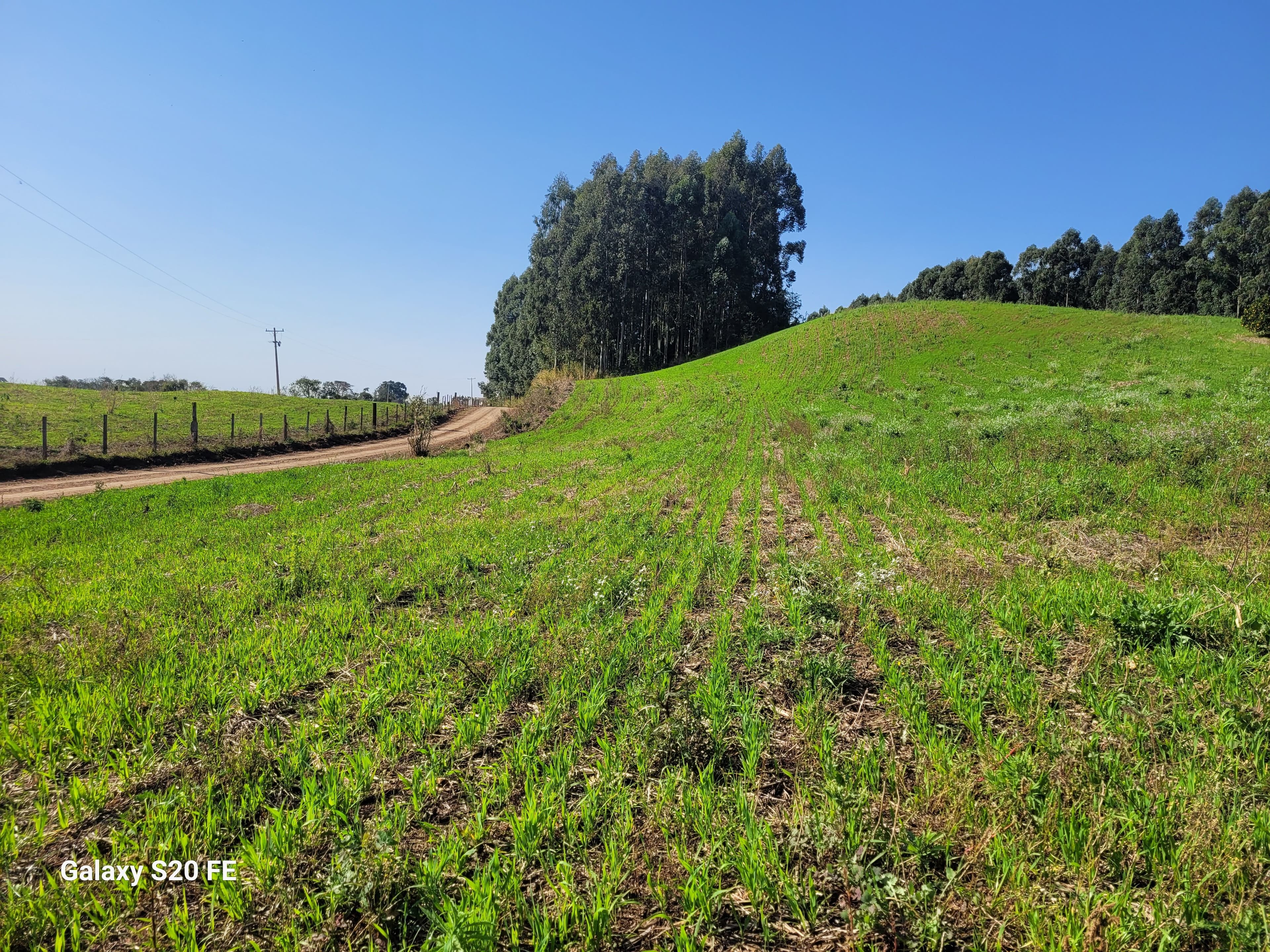 Área de terra rural-Comunidade Parobé-Itatiba do Sul — foto 2