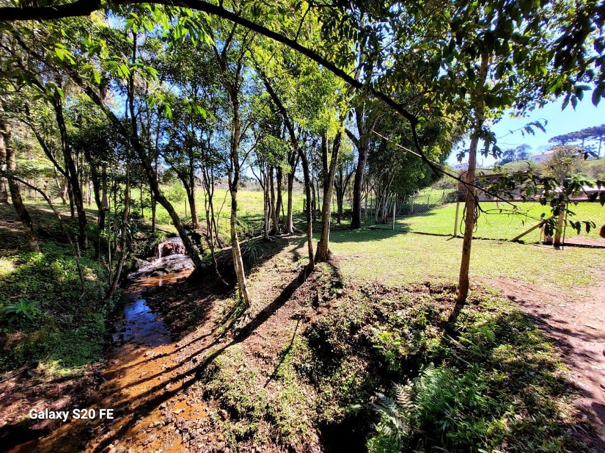 Chacara Bairro Novo Atlantico — foto 4